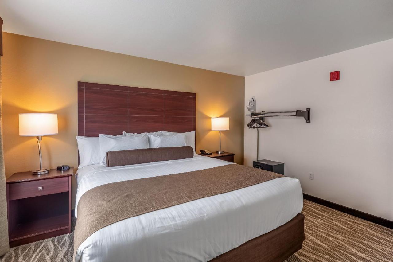 Cobblestone Hotel & Suites - Stevens Point Dış mekan fotoğraf